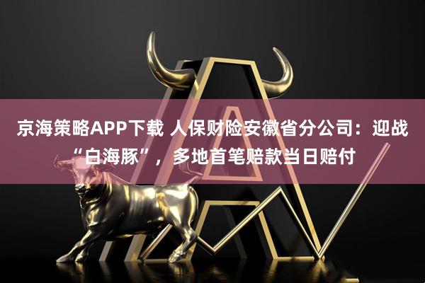 京海策略APP下载 人保财险安徽省分公司：迎战“白海豚”，多地首笔赔款当日赔付