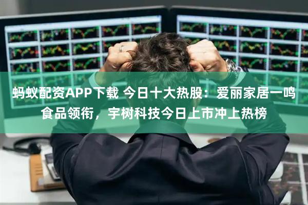 蚂蚁配资APP下载 今日十大热股：爱丽家居一鸣食品领衔，宇树科技今日上市冲上热榜